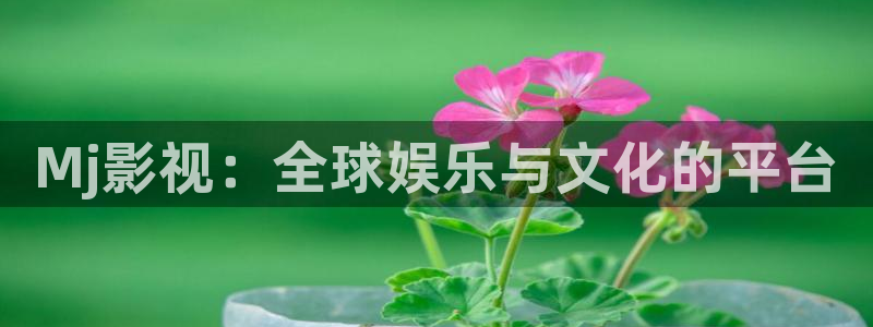 木瓜影院电视剧电影：Mj影视：全球娱乐与文化的平台