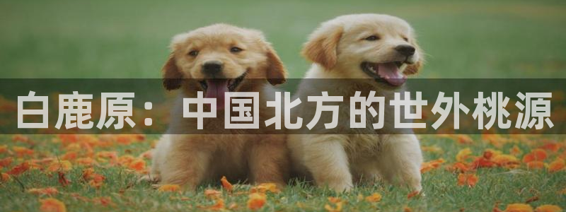 木木瓜影院：白鹿原：中国北方的世外桃源