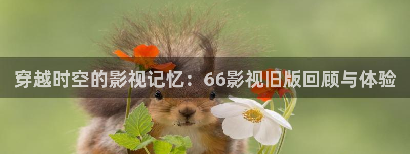 木瓜电影播放器：穿越时空的影视记忆：66影视旧版回顾与体验