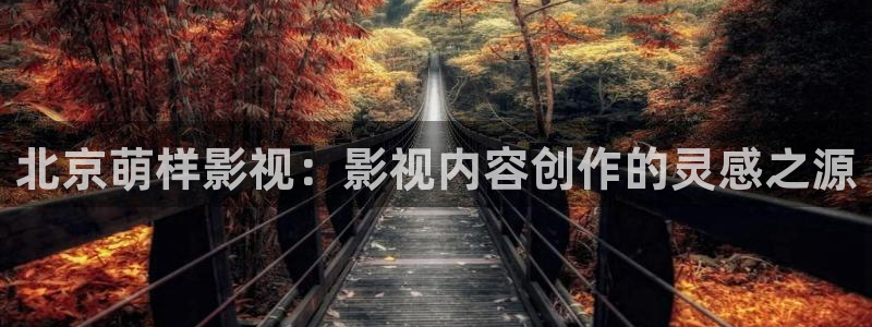 午夜木瓜电影网：北京萌样影视：影视内容创作的灵感之源