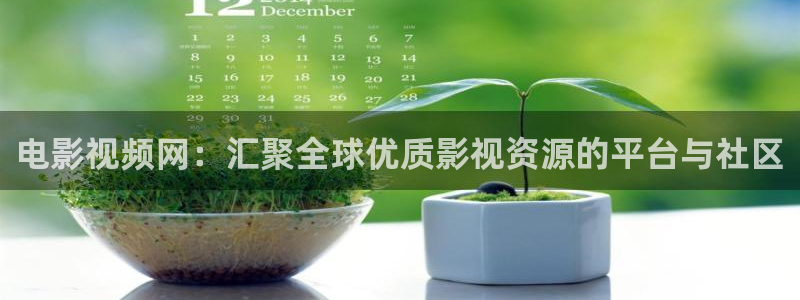 木瓜视频在线观看：电影视频网：汇聚全球优质影视资源的平台与社区