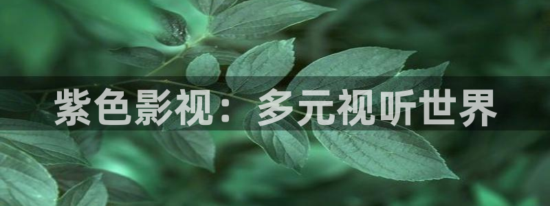 木瓜影视影院：紫色影视：多元视听世界