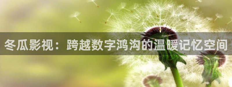 木瓜午夜电影：冬瓜影视：跨越数字鸿沟的温暖记忆空间