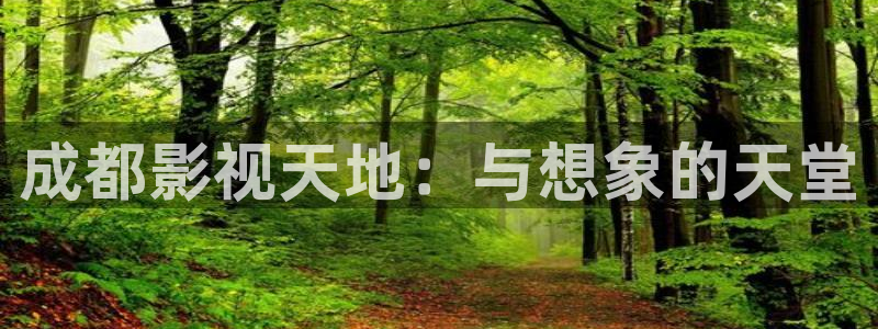 木瓜免费电影网：成都影视天地：与想象的天堂