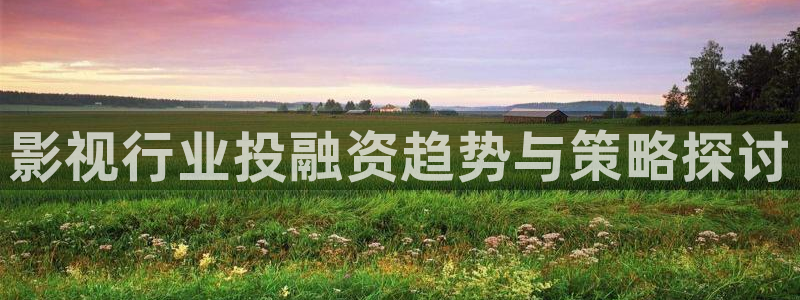 木瓜电影在线免费观看：影视行业投融资趋势与策略探讨