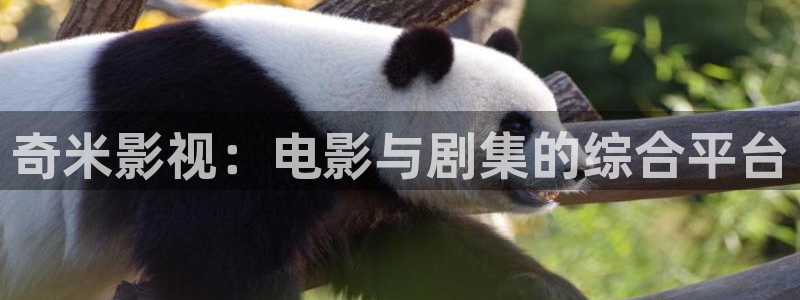 木瓜价格查询：奇米影视：电影与剧集的综合平台